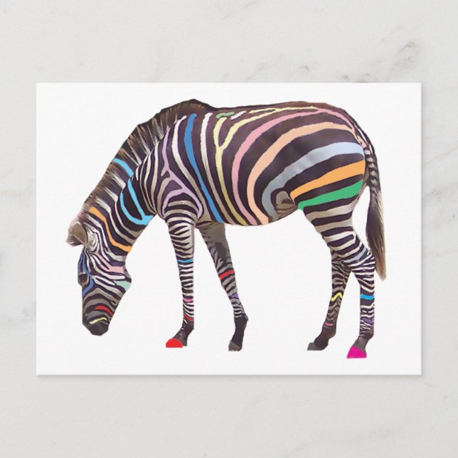 Carte postale Rainbow Zebra (Devant)