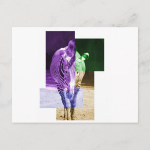 Carte Postale Rainbow Zebra