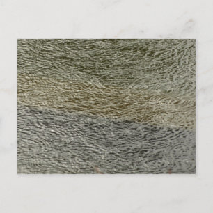 Carte Postale Raindrop se répand Abstrait Nature Photography