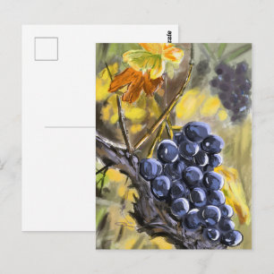 Carte Postale Raisins sur la souche de vigne, provence.