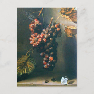 CARTE POSTALE RAISINS TRAITÉS VIGNOBLE RUSTIQUE, VITRALE, VITICU