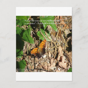 Carte Postale Ralph W Emerson "Pace Of Nature" Citation De Sages