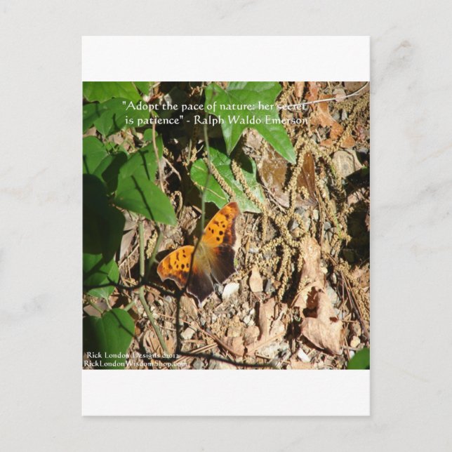 Carte Postale Ralph W Emerson "Pace Of Nature" Citation De Sages (Devant)