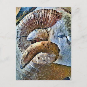 CARTE POSTALE RAM SHEEP FARM ANIMAL