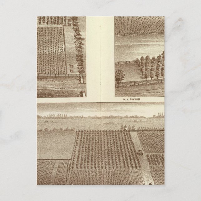 Carte Postale ranch de Lemoore (Devant)