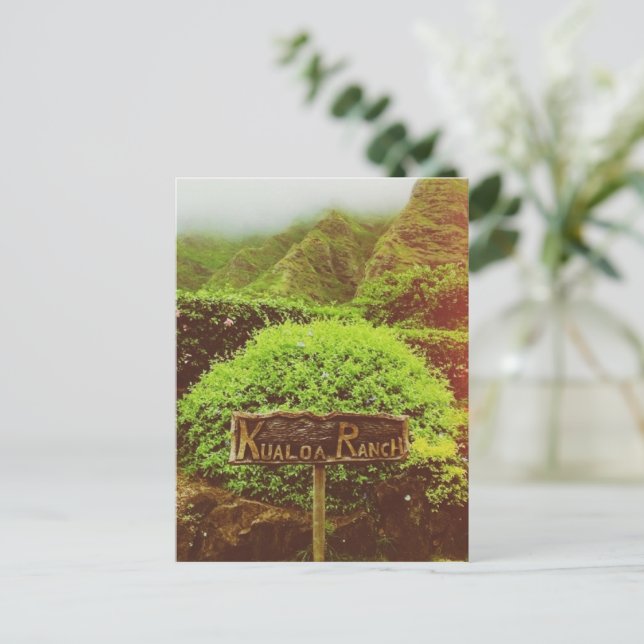Carte Postale Ranch Kualoa (Debout devant)