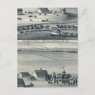 Carte Postale Ranches Cole