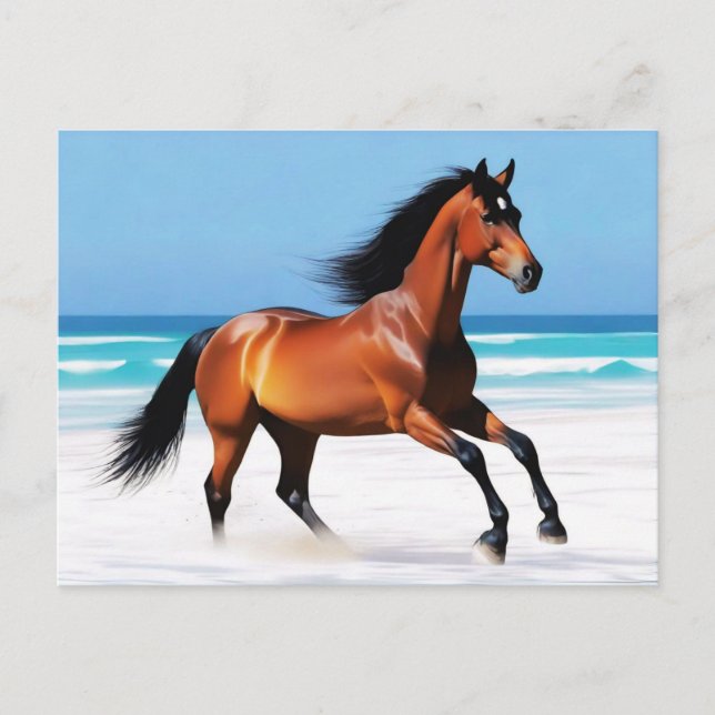 Carte Postale Randonnée pédestre sauvage sur une plage (Devant)