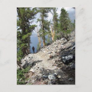 Carte Postale Randonnée pédestre sur le sentier John Muir - Sier