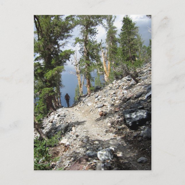 Carte Postale Randonnée pédestre sur le sentier John Muir - Sier (Devant)