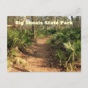 Carte Postale Randonnée Trail, Big Shoals State Park, Floride