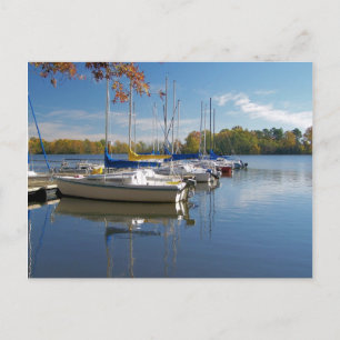 Carte Postale Rangée de voiliers