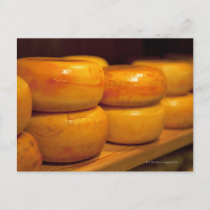 Carte Postale rangées de fromages Edam jaunes colorés alignés