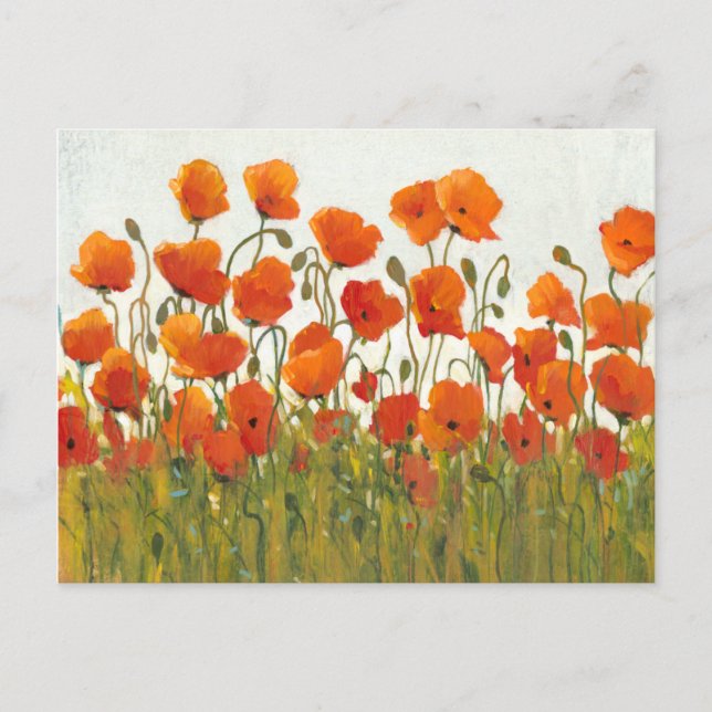Carte Postale Rangées de pavots I (Devant)