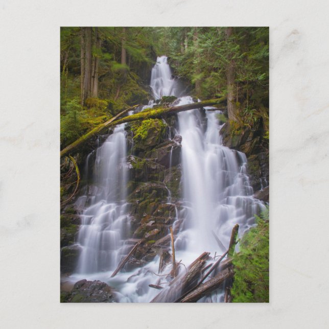Carte Postale Ranger Falls, Parc national du Mont-Rainer (Devant)