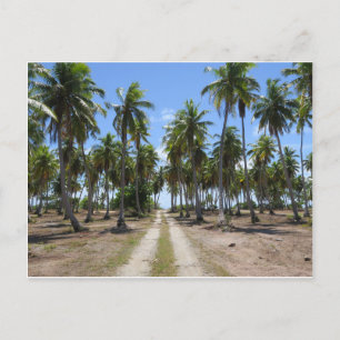 Carte Postale Rangiroa route vers le paradis