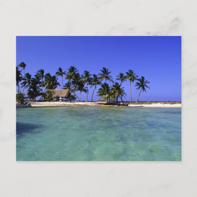 Carte Postale Ranguana Caye, Belize (Devant)