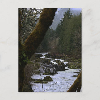 Carte Postale Rapides de la rivière Row