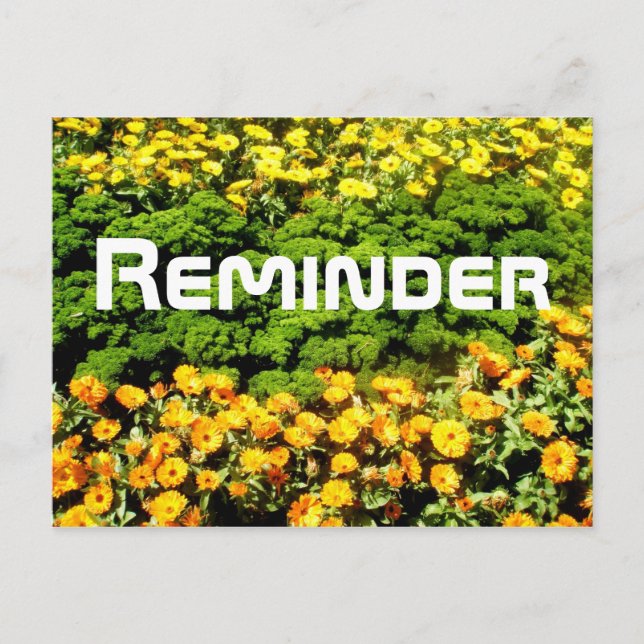 Carte Postale Rappel (Devant)