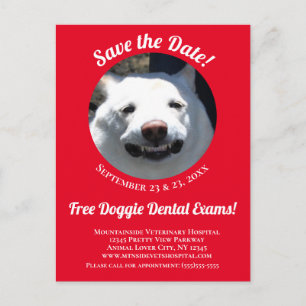 Carte Postale Rappel de l'événement unique Red Smiling Chien Soi
