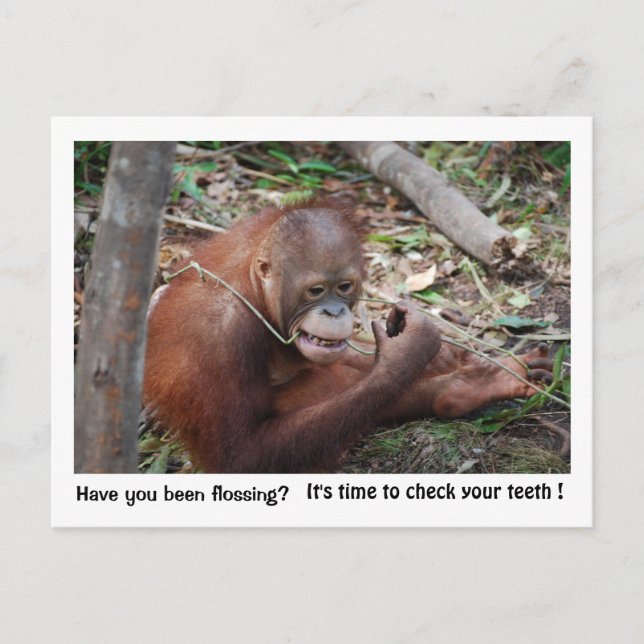 Carte Postale Rappel de nomination d'un dentiste (Devant)