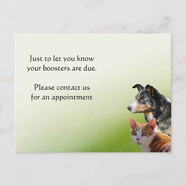 Carte Postale Rappel de vaccination pour animaux familiers (Devant)