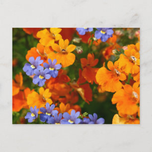 Carte Postale Rappel du printemps