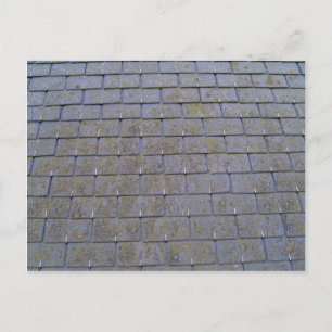Carte Postale Rapprochement Des Carreaux De Toits Avec Lichens