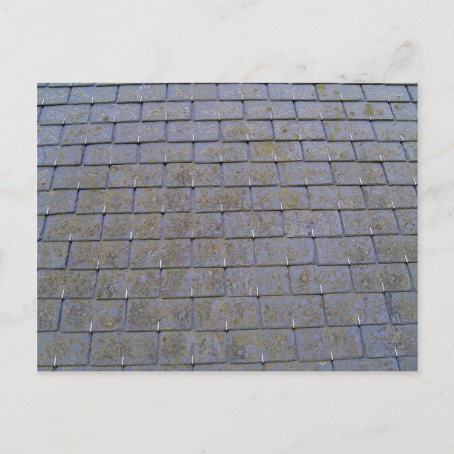 Carte Postale Rapprochement Des Carreaux De Toits Avec Lichens (Devant)