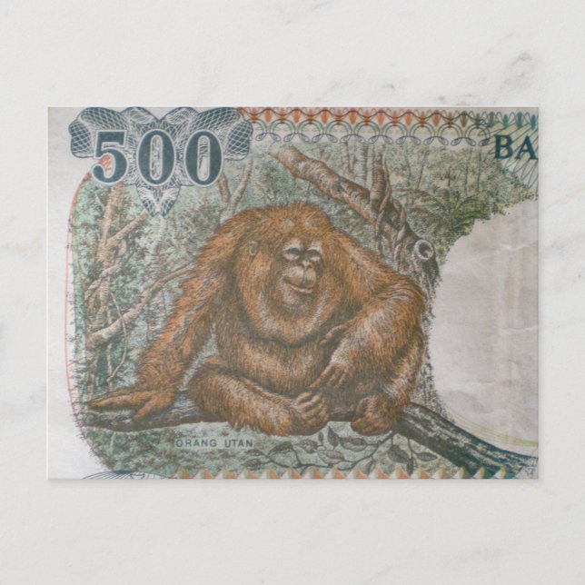 Carte Postale Rare Orangutan Limited Edition (Devant)