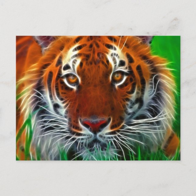 Carte Postale Rare Sumatran Tiger d'Indonésie (Devant)