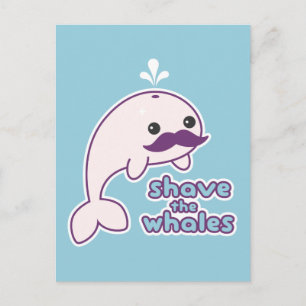Carte Postale Raser les baleines