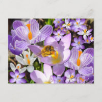 Rassembler le nectar des abeilles des fleurs de Cr