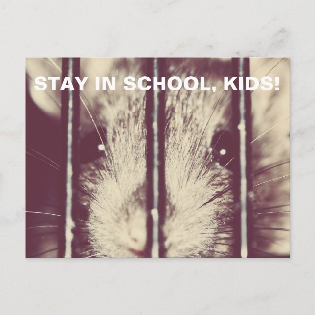 Carte Postale Rat adorable drôle en prison (Devant)