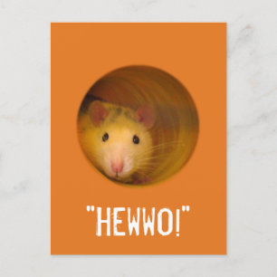 Carte Postale Rat d'illusion optique drôle dans trou