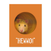 Rat d'illusion optique drôle dans trou