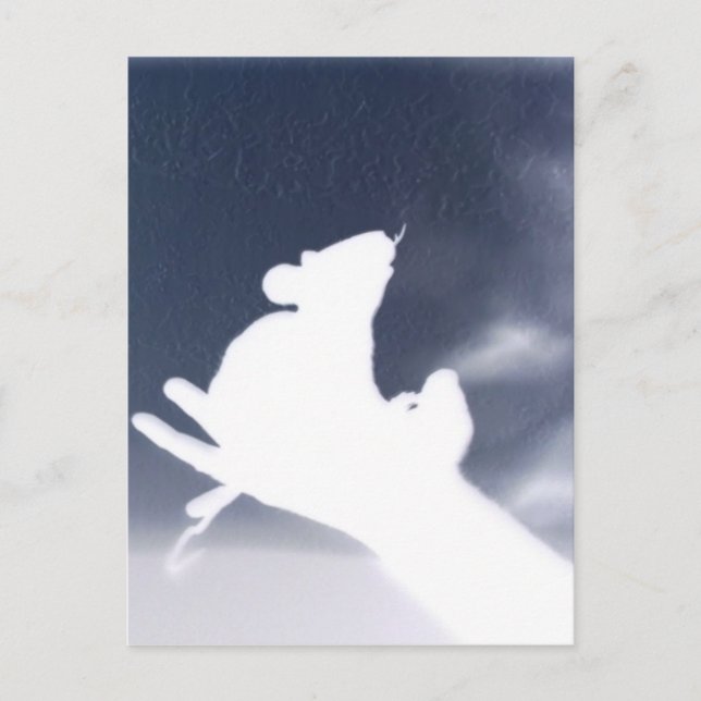 Carte Postale Rat d'ombre (Devant)