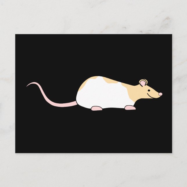 Carte Postale Rat. Faun et à capuchon blanc Varié. (Devant)