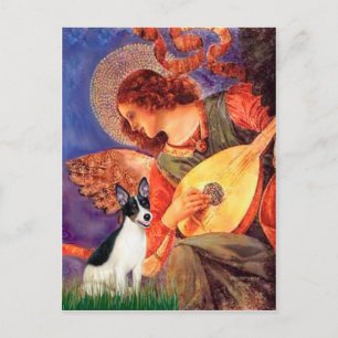 Carte Postale Rat Terrier - Ange au Mandolin
