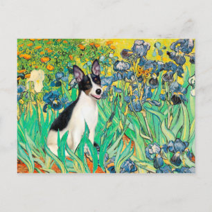 Carte Postale Rat Terrier - Irises
