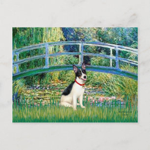 Carte Postale Rat Terrier - Pont