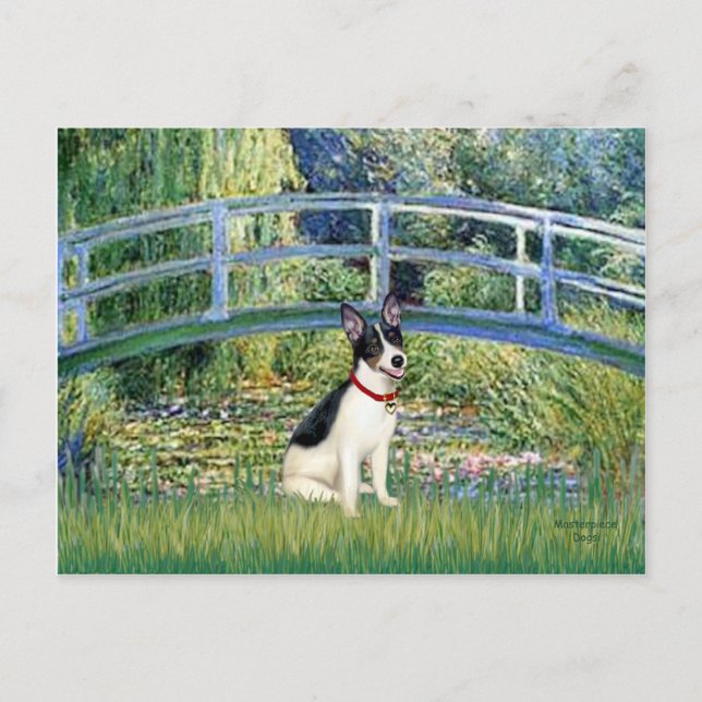 Carte Postale Rat Terrier - Pont (Devant)