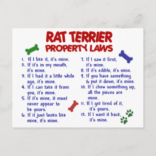 Carte Postale RAT TERRIER, propriété Lois 2