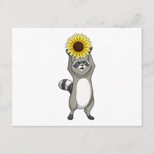 Carte Postale Raton laveur avec tournesol