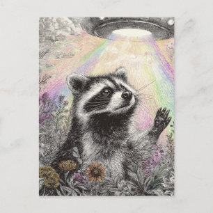 Carte Postale Raton laveur et un OVNI