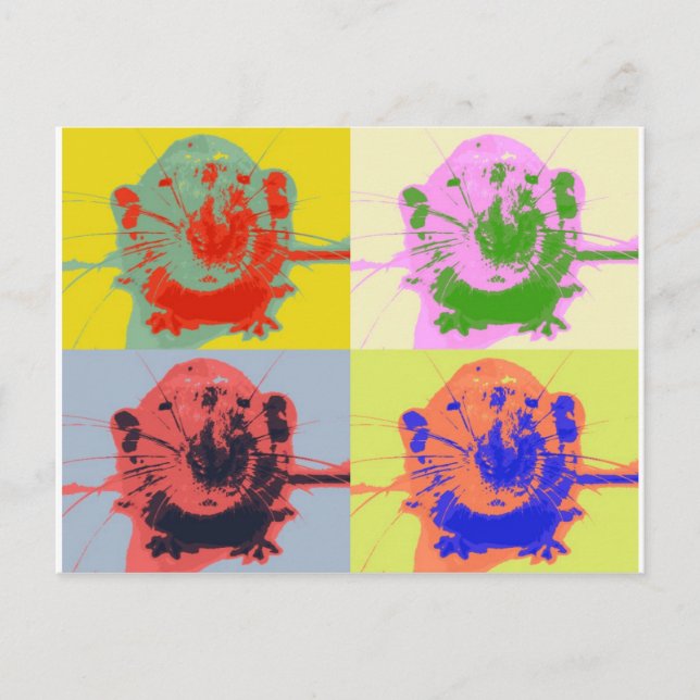 Carte Postale Rats (Devant)