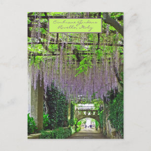 CARTE POSTALE RAVELLO, ITALIE/JARDINS DE CIMBRONE/WISTERIA DE CA