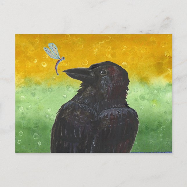 Carte Postale Raven Ponders (Devant)