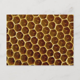 Carte Postale Rayon de miel en cire d'abeille