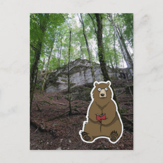 Carte Postale Reader Bear (color)